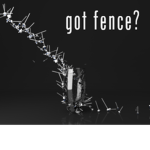 Fencers +