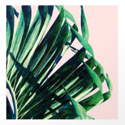 pastel palm Roblox decal