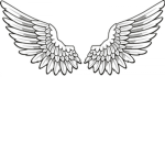 Amazing Angels