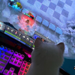 miao