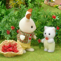 ୧🍓