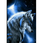 The legendary Night Sky