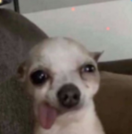 Biju