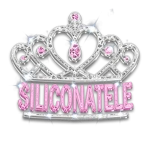 Siliconatele Group Thumbnail