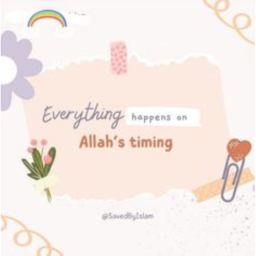 ~🌷~