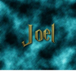 the joels
