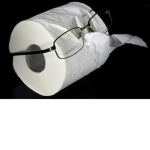 Toilet paper shades