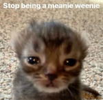 StaySad