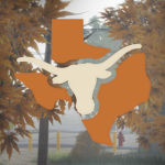Lonestar Roleplay Whitelisted