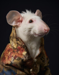Rats: Kingdom