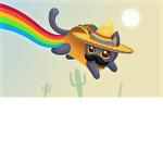# the taco squad