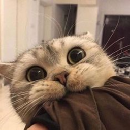 ♡