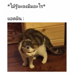 แม่บ้านชาวอีสาน