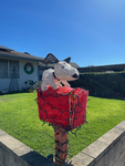 Dog Learners