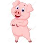 Team pig.