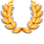 YLZZ