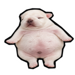 Dogghy Games