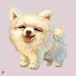 Shooting star fun
