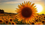 <3 Shine bright! <3