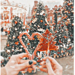 ~ Christmas club ~