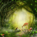 Garden fairy's