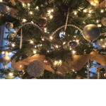 The Christmas Tree Group