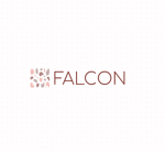 Falcon: Roblox Clothing