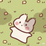 -cutnoz-