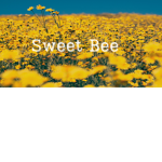 Sweet Bee
