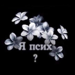 Зима