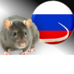 Russian rats united