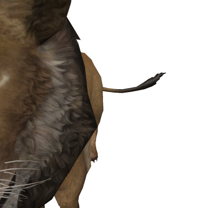 LionSus