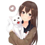 doki doki anime nerds dev
