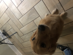 Hehdhdhdhgdhdhd
