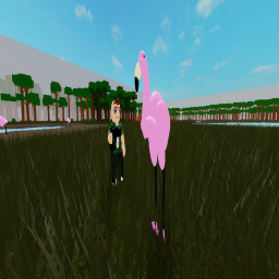 Flamingo Hunting Simulator