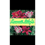 Kawaii Lily’s