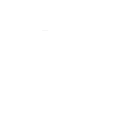Camera Flash