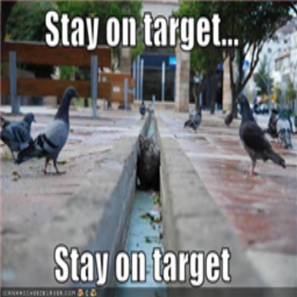 funny-pictures-cat-pidgeons-star-wars Roblox decal