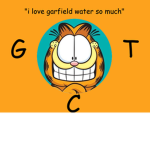 Garfield Trading Company