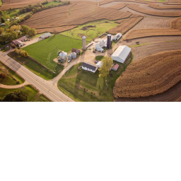 The Farm