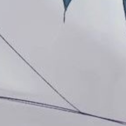 ✩