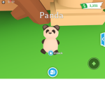 Panda darkside