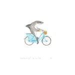 xdsharkbella