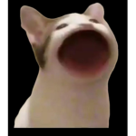 루하 기요미><