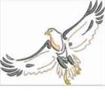 Exotic Eagles