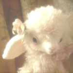 Primrose ᰔ