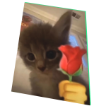 Roblox entity thumbnail