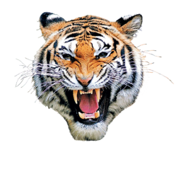 Nashville Tigers Home arena