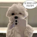 펭기니의 입양하세요!