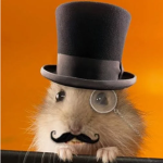 Hamster brothers